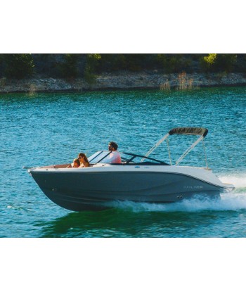 BAYLINER V20i