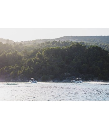 BAYLINER V20i