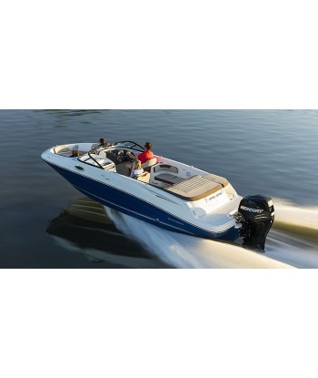 VR6 BOWRIDER FUERABORDA